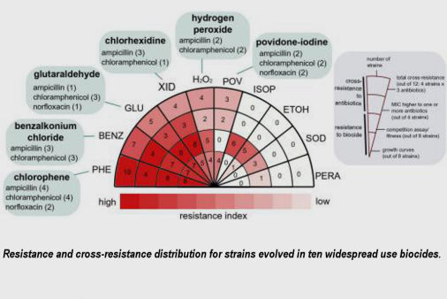 Resistance and cross-resistance distribution for strains evolved in ten widespread use biocides. 
